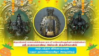 திருமங்கலம் ஸ்ரீ மலையாண்டி அம்மன் திருக்கோவில் அஷ்டபந்தன ஜீரனோதாரன மஹா கும்பாபிஷேக விழா