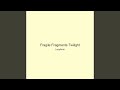 Fragile Fragments Twilight