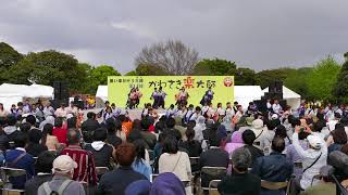 早稲田大学よさこいチーム東京花火（2018かわさき楽大師・\