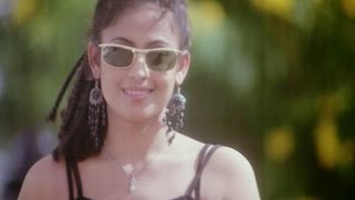 100 Kotlu Movie || Du Du Du Video Song || Baladitya, Saira Bhanu, Brahmanandam