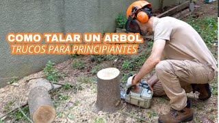 Como TALAR un árbol con CUERDAS paso a paso | Trucos para PRINCIPIANTES