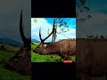 this majestic deer 👑🦌 came for me 💚 1000subscriber nature sl_nature_hub