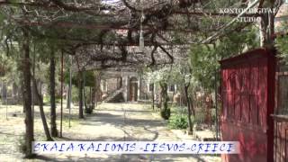 skala kalloni video