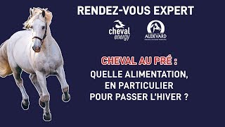 Cheval au pré : quelle alimentation, en particulier pour passer l’hiver ?