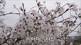 타인     이미자    소개합니다