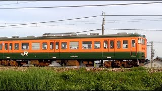 115系N38湘南色編成　信越本線上り快速新井行き3374M　新潟→新井