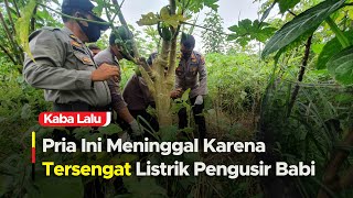 SERAM! Pria di Padang Meninggal Tersengat Listrik Pengusir Babi