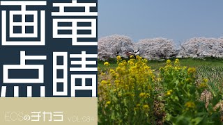 【EOSのチカラ】vol.084「アレの実力を試す」LUMIX S5Ⅱ（修正版）