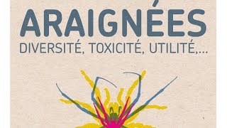 Planète-conférences - Araignées : diversité, toxicité, utilité,...