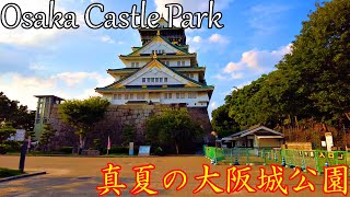 【大阪】真夏の日の大阪城公園を散歩   Walk through Osaka Castle Park on a midsummer day 4K