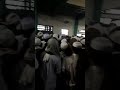 suasana penyambutan jenazah kh. ibrahim burhanuddin kyai ohan.