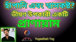 হাঁপানি এবং শ্বাসকষ্টের জন্য ভীষণ উপকারী প্রাণায়াম।  Pranayama for Asthma . By Yogasthah Yog