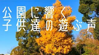 【子供の声】公園に響く子供達の遊ぶ声