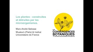 Convergences botaniques 2022 - 18. Les plantes et les microorganismes (Marc-André Selosse)