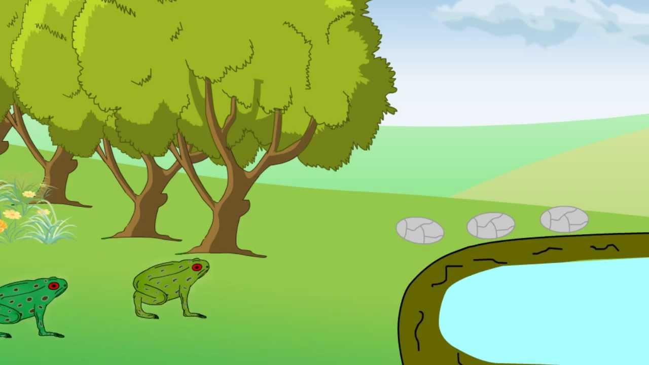 Two Frogs Youtube