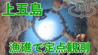 360 camera in the center of the artificial reef - Kamigoto