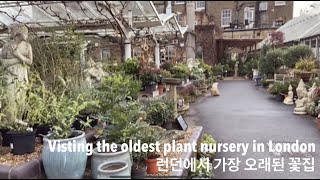 런던에서 가장 오래된 꽃집 Clifton Nurseries 방문 / Visting the oldest plant nurseries in London