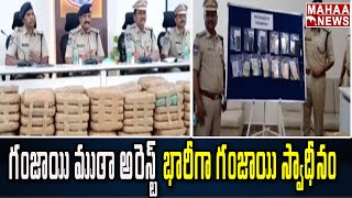 గంజాయి ముఠా అరెస్ట్ భారీగా గంజాయి స్వాధీనం || Ganja Seized in Hyderabad || Mahaa News