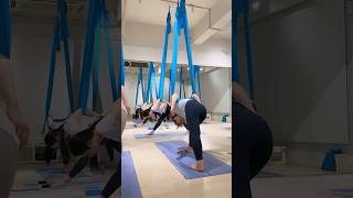 #エアリアルヨガ #エアリアル #空中ヨガ #aerialyoga #aerialyogaflow #ヨガ