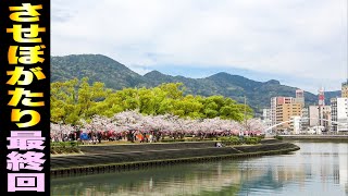 【佐世保公園】お花見しながら振り返る、3月。// させぼがたり（佐世保市 平瀬町）