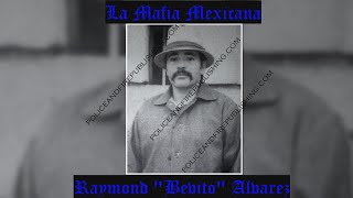 Mexican Mafia OG Member -  \