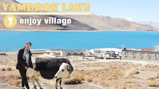 Explore Heavenly Yamdrok Lake in Tibet 3: enjoy village | how's the feeling to camp in Tibet