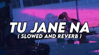 Tu Jane Na [ Slowed + Reverb ] | Arijit Singh | Lofi Lyrics