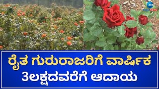 Rose cultivation amidst water scarcity | ನೀರಿನ ಅಭಾವದ ಮಧ್ಯೆ ರೈತನ ಕೈಹಿಡಿದ ಗುಲಾಬಿ ಕೃಷಿ