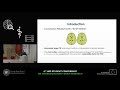 ben zion ziv neuroanatomical risk factors for ptsd in recent trauma survivors