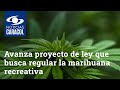 Avanza en el Senado el proyecto de ley que busca regular la marihuana recreativa en Colombia