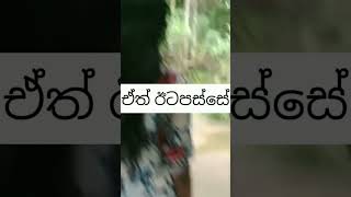 කොන්ඩෙ යෑම මාස තුනෙන් මම නතර කරපු විදිහ🤗, #viral#vlog#