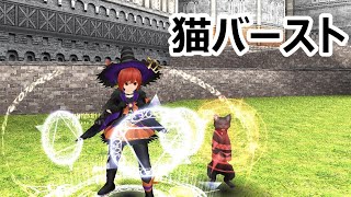 【トーラム】消費MP２００で無詠唱猫バースト打ちたいねん！杖　ウィザード魔職パラ