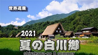 [4K] 夏の世界遺産白川郷 2021 (shirakawa-go \u0026 summer)