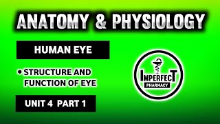 Structure And Function Of Eye | Human Eye | Eye Structure | Human Anatomy And Physiology | B Pharma