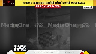 വയനാട് വടക്കനാട് പള്ളിവയലിൽ ഭീതി പരത്തി കാട്ടാന; പാലുമായി വന്നയാളെ ഓടിച്ചു