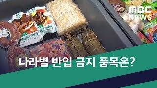 [스마트 리빙] 나라별 반입 금지 품목은? (2019.02.11/뉴스투데이/MBC)