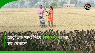 Deepto Krishi |  প্রাকৃতিক খাদ্য দিয়ে হাঁস পালন করা হয় যেখানে | Duck farming  | Deepto TV