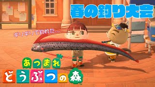 【あつ森】いざ！春の釣り大会！サカナグッズ全部集まった！【Animal Crossing】