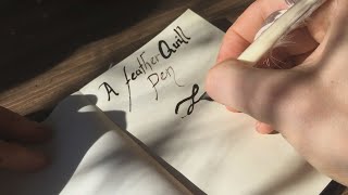 To Make a Quill Pen and Write (asmr) Turkey Feather and Walnut Ink