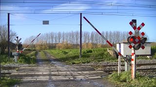 Spoorwegovergang Quévy (B) // Railroad crossing // Passage à niveau