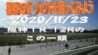 【競馬】２０２０年１１月２３日複勝でパーフェクトを狙ってみよう　阪神１R~12Rのこの一頭　予想編