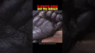 곰 발바닥을 통째로 삶아 먹는 일본요리