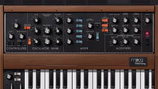 miniMoog Bass Line Jamming