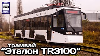 🇺🇦Новинка! Трамвай “Эталон TR3100”. Проект «Транспорт Украïни» | New! Tram “Etalon TR3100”.