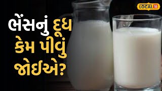 Navsari news | ભેંસનું દૂધ કેમ પીવું જોઈએ? જુઓ આયુર્વેદિક ડોક્ટરે શું કહ્યું | Local18