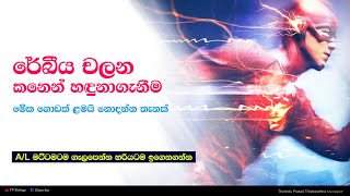 මිනිස් කන විසින් රේඛීය චලන හදුනාගැනීම | 2022 Theory | Tharindu Prasad Biology