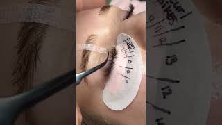 THREE LASH LAYERS!!
