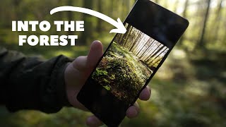 Xperia 1 IV In the field - Nature Photography // 4K 120fps Test