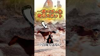 【保存必須！】世界旅行夫婦が選ぶ！この1年でバズった国ランキング！