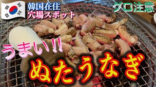 【韓国在住】ヌタウナギって旨い？ってかなに？〜ソウル飯#6〜